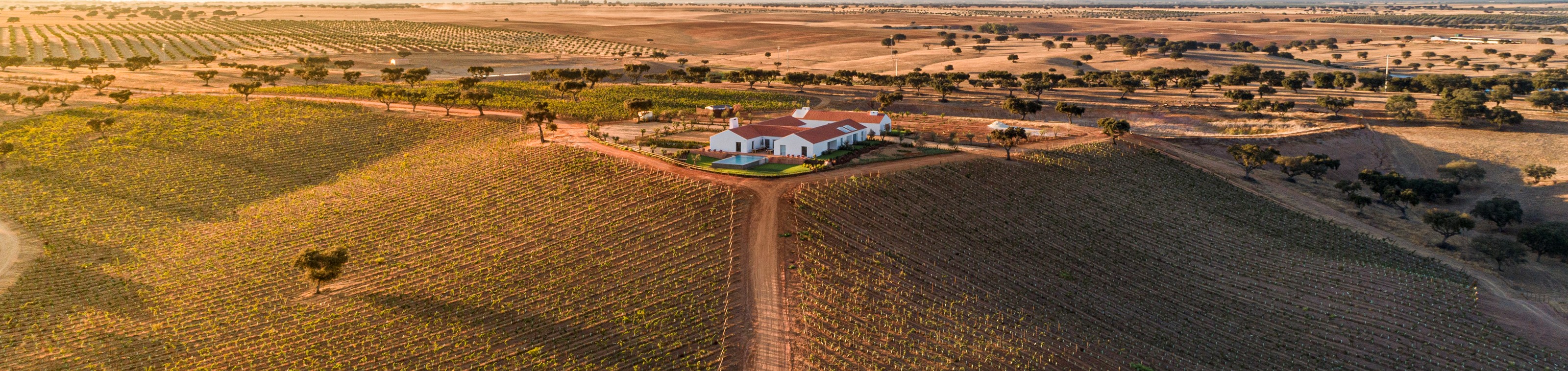 Selfdrive Alentejo - Rondreis Portugal