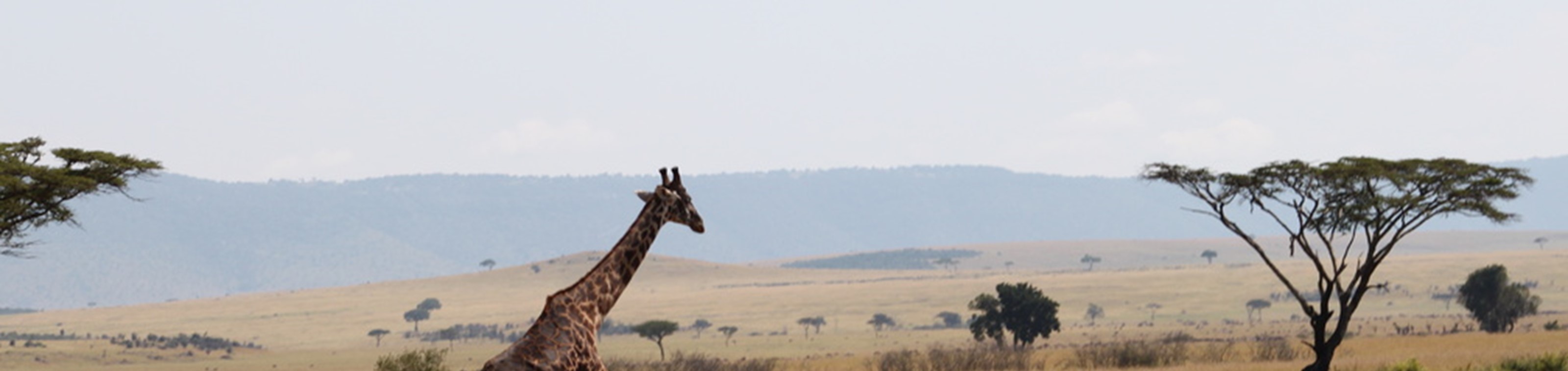 Actief Tanzania - 9-daagse rondreis