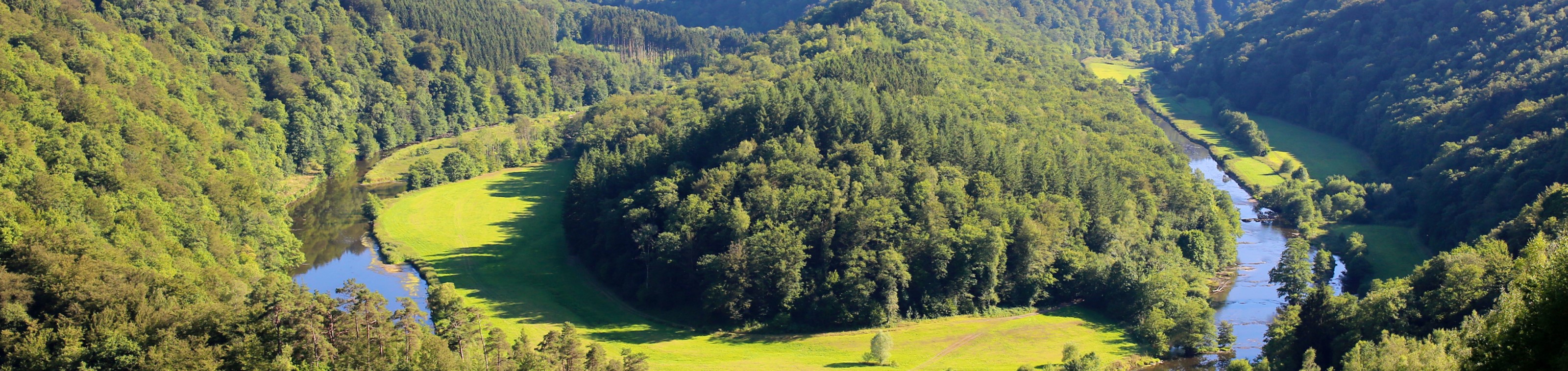 Wandelvakantie - Ardennen | Poix St-Hubert La Grande Forêt de Saint-Hubert: tussen Lesse en Lomme - 