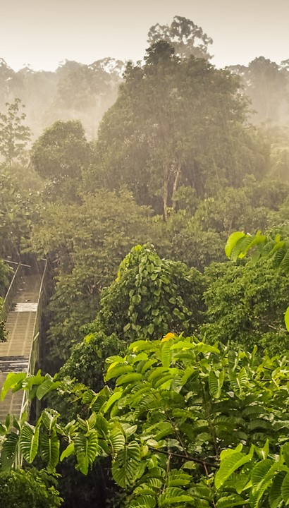 Singapore & Borneo, 17 daagse rondreis van een urban jungle naar de echte jungle