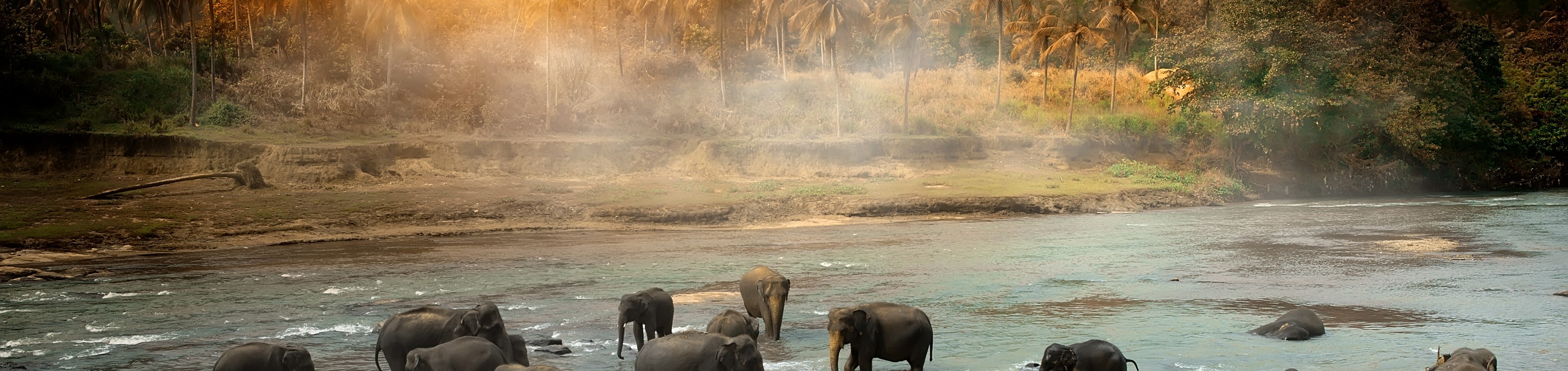 Rondreis Sri Lanka & Malediven – 18 dagen