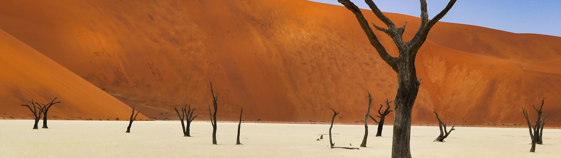 Ontdek het adembenemende Namibië