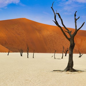 Ontdek het adembenemende Namibië