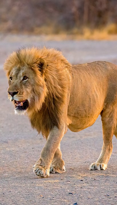 Groepsreis Namibië Nederlandstalig
