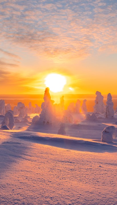 Lapland - Treehouse magic