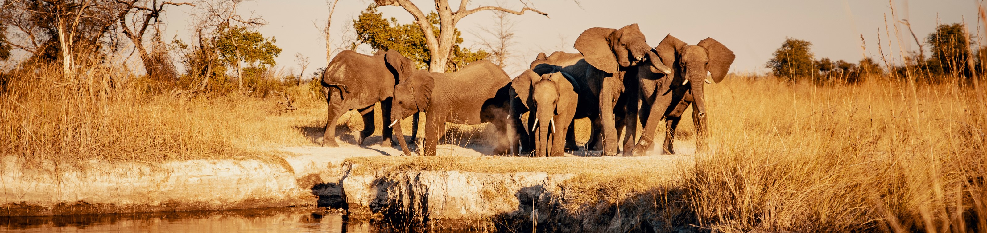 Safari - Groepsreis Sebatana Private Reserve, Zuid Afrika