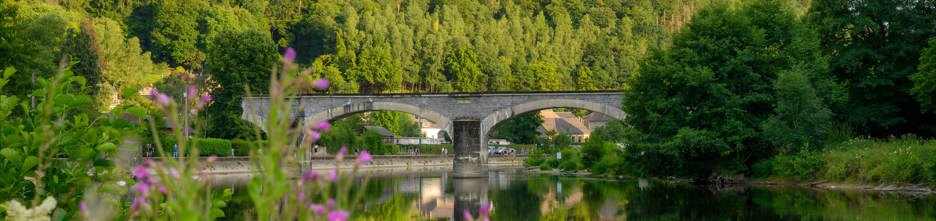 Wandelvakantie - Ardennen | Poix St-Hubert La Grande Forêt de Saint-Hubert: tussen Lesse en Lomme 6 
