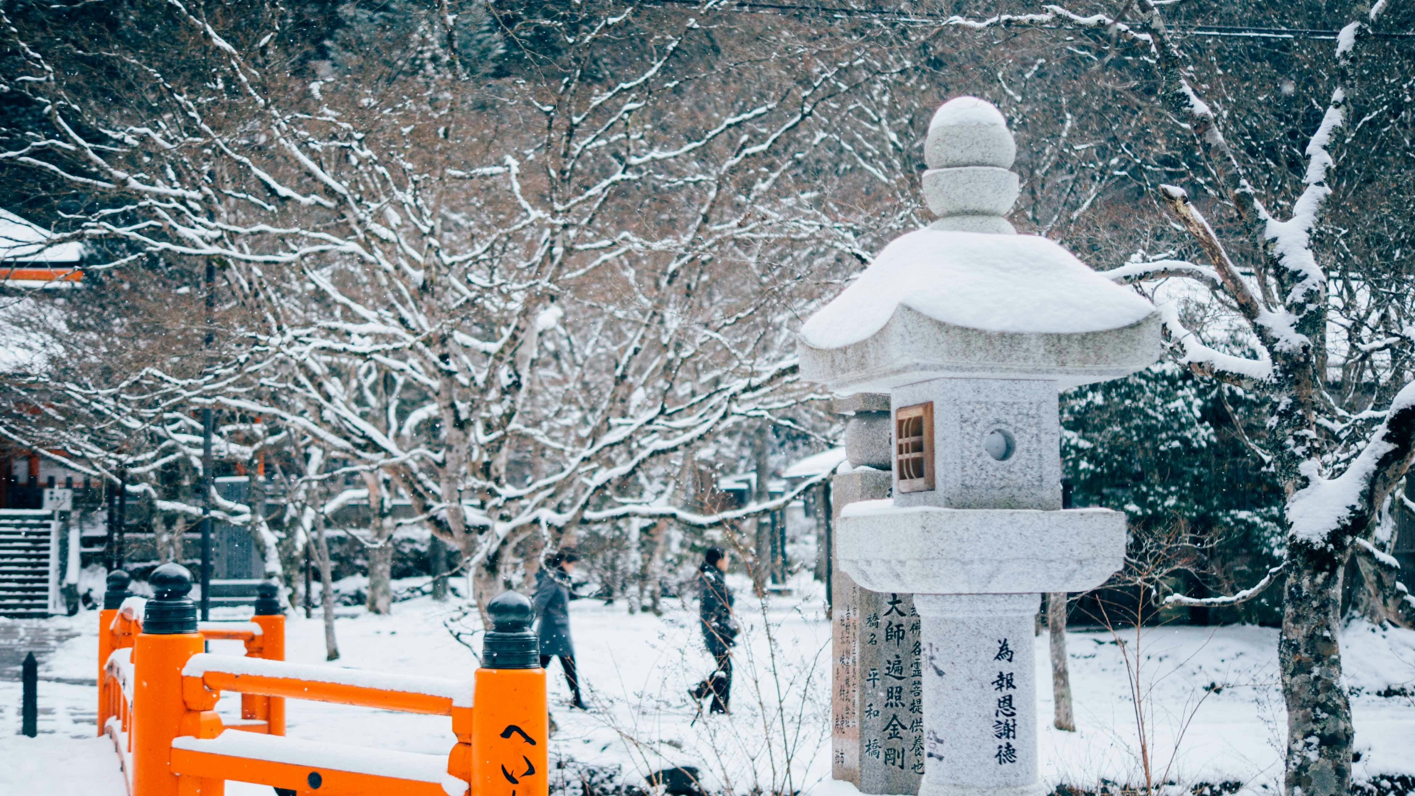 Japan Winter