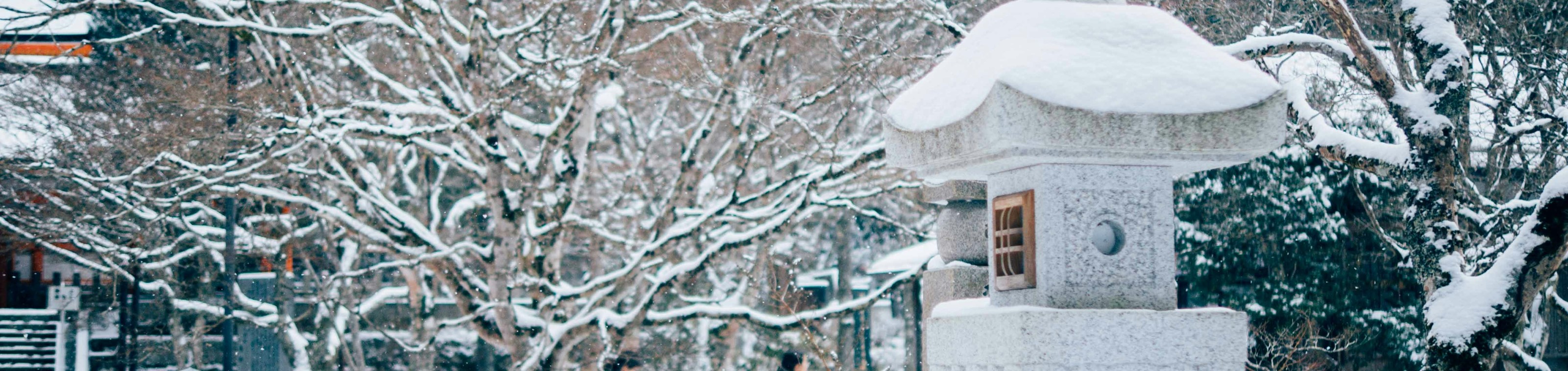 Japan Winter
