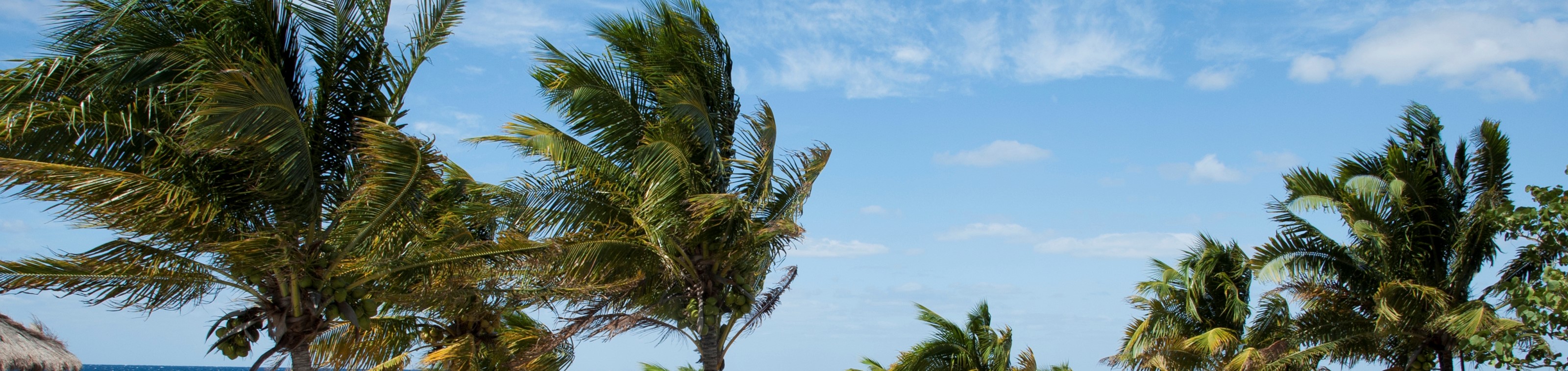 Ontdek MSC World America - Luxe en Comfort op Zee - Cruise vanuit Miami naar de Caraïben