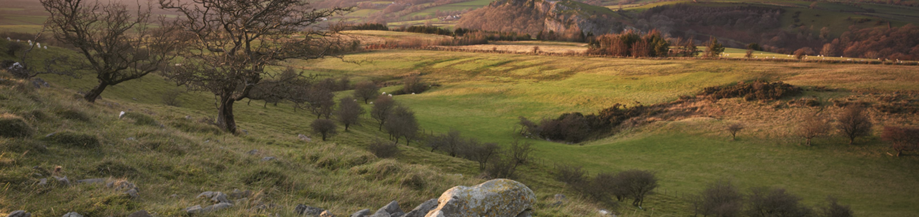 8 daagse rondreis Wales - vertrek 15/06/2025 - Engeland