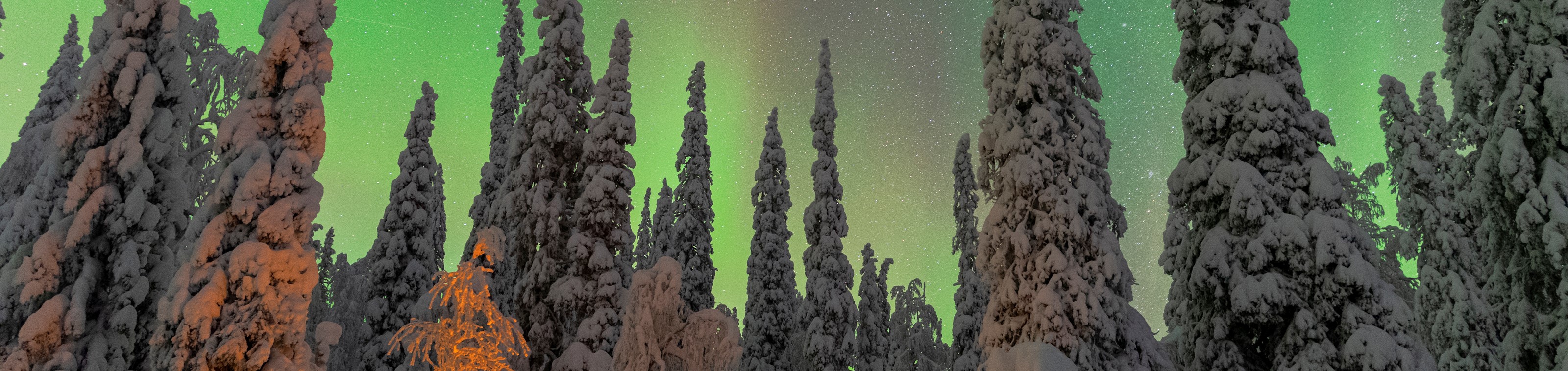 Ontdekking van Lapland – Shortbreak Vijfdaagse Nederlandstalig begeleide groepsreis