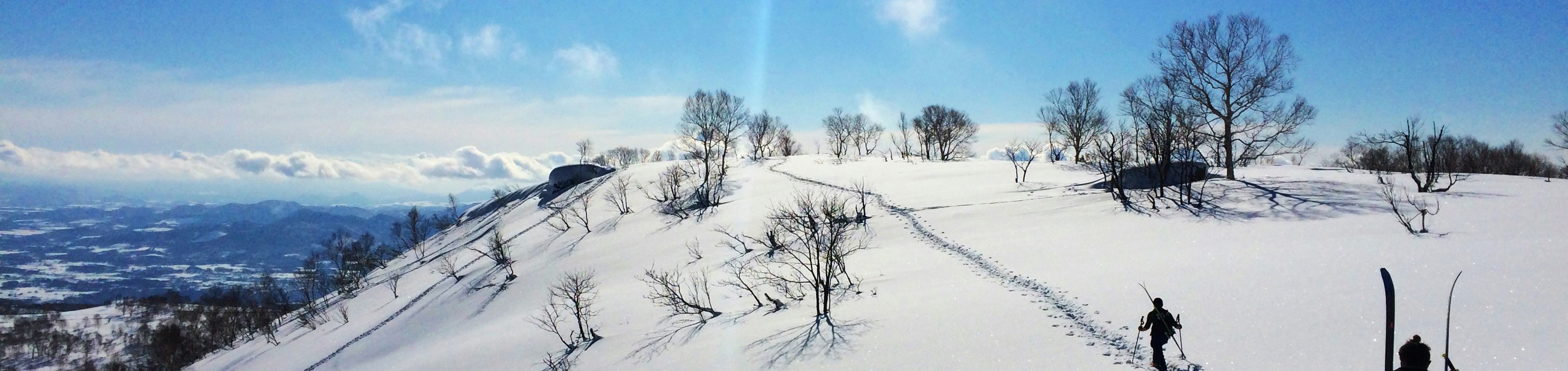 Limited Japan: Van sushi tot ski - 8 daagse rondreis