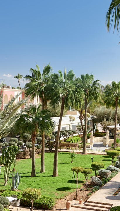 Een tropisch paradijs in een wereldstad  -   Iberostar Waves Club Palmeraie Marrakech 4* - Marokko