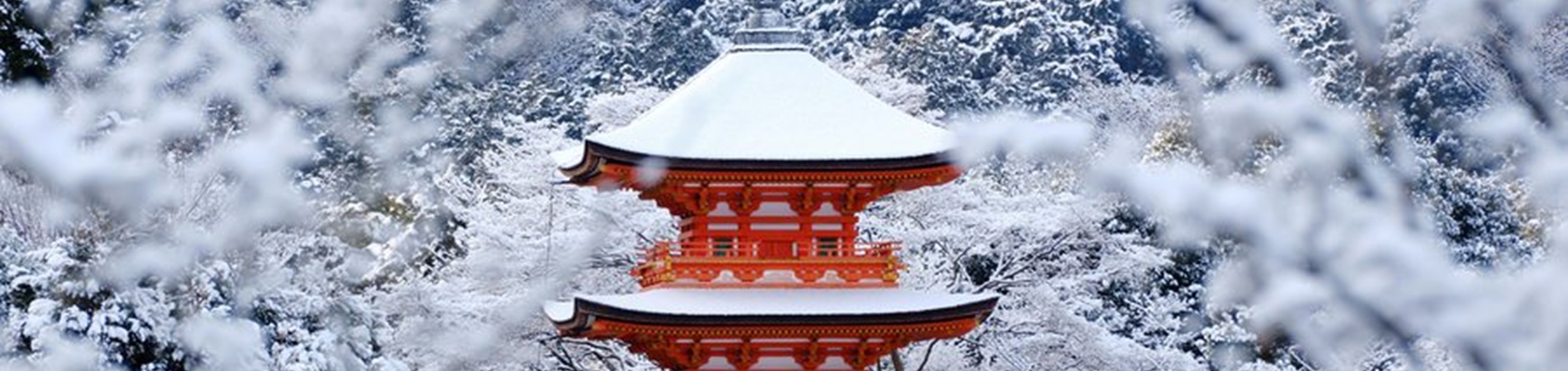 Limited Japan: Magisch winters - 12 daagse rondreis