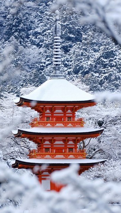 Limited Japan: Magisch winters - 12 daagse rondreis