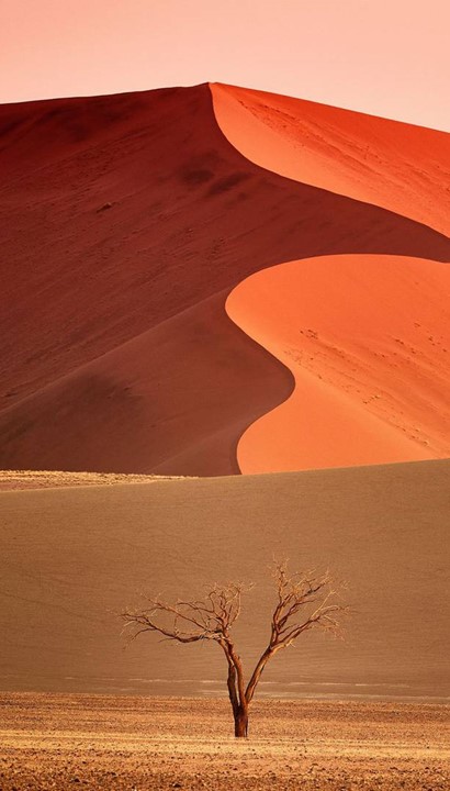 19-daagse rondreis door Namibië - Het Juweel van Afrika - 19 dagen rondreis