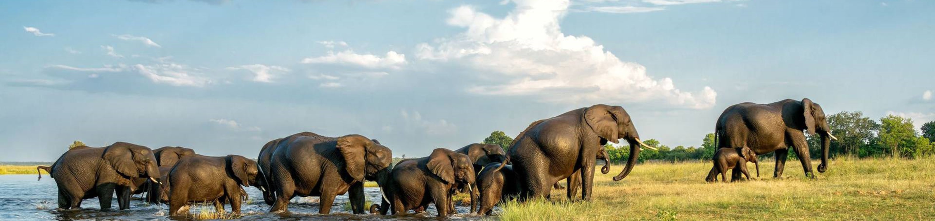 18-daagse rondreis door Namibië, Botswana & Zimbabwe - Met de Stromen mee