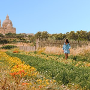  Waarom Malta jouw volgende luxebestemming is