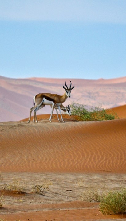 Namibië Klassiek - Standaard - Selfdrive 15 dagen
