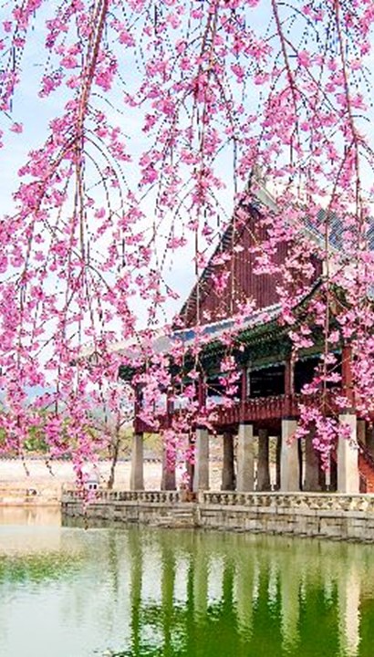 RONDREIS DOOR ZUID-KOREA  18 dagen / 17 nachten 