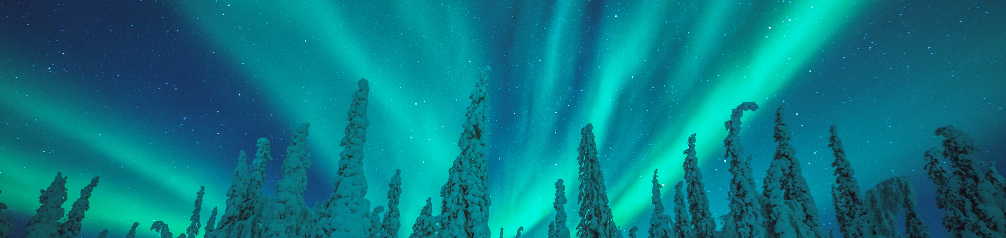 Splendeurs d’hiver et aventure en Laponie