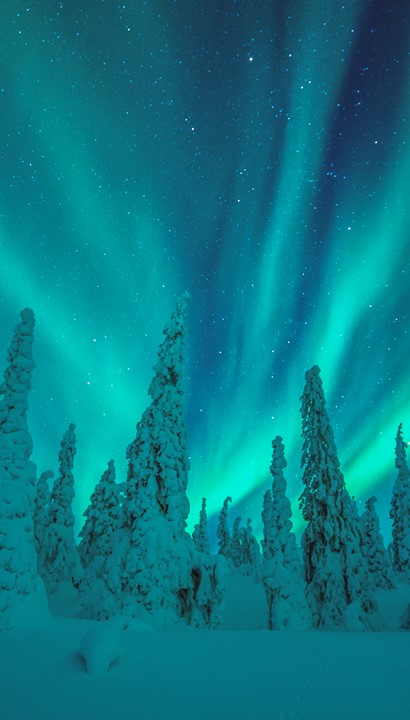 Winterse pracht en avontuur in Lapland