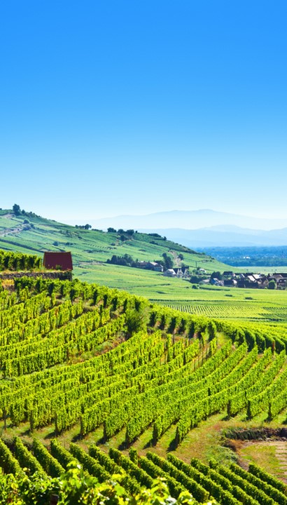 Dégustation de vins en Alsace: hôtel Les Remparts 