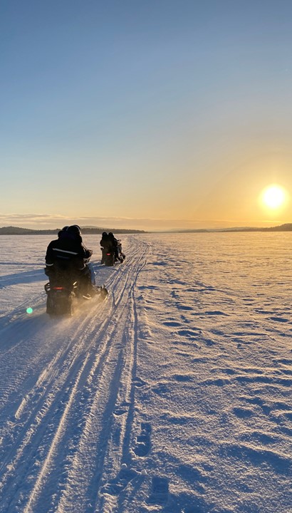Kultahippu Arctic arrangement, Finland
