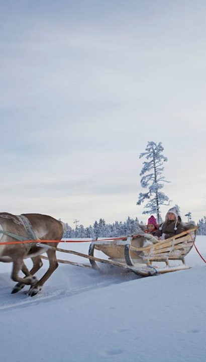 Winteravontuur in Levi, Finland