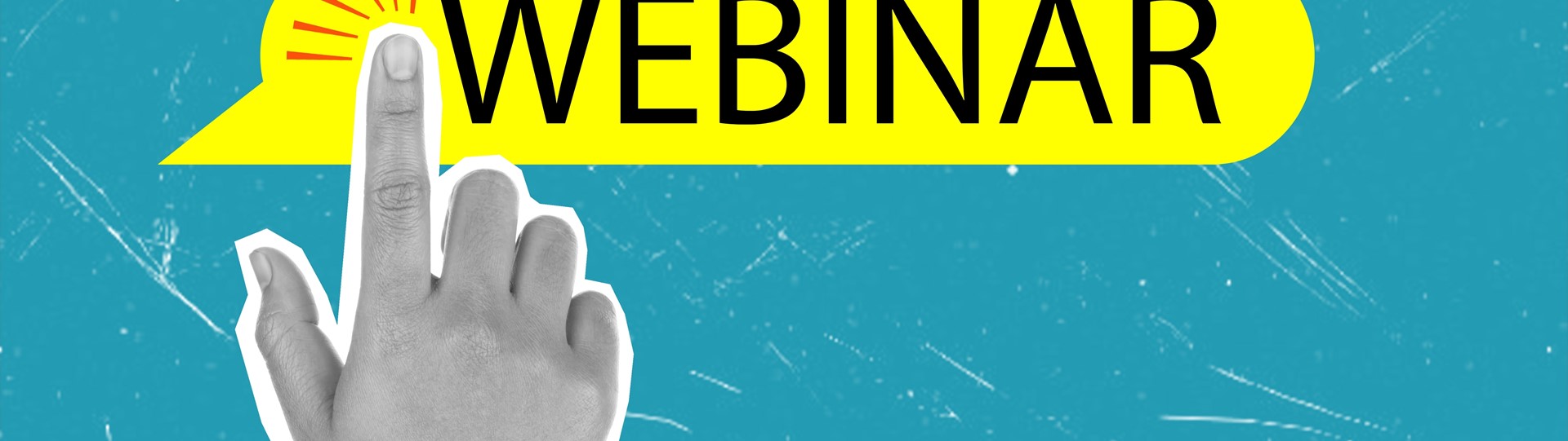 Webinar VIP Selection 24 juli om 11u