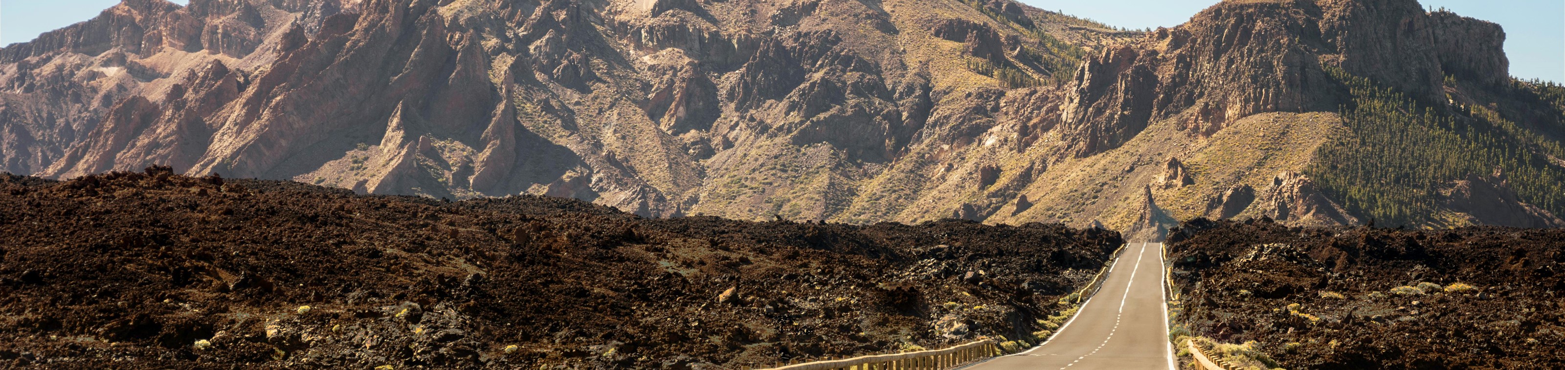 Tenerife in stijl - 8 daagse rondreis