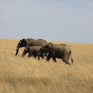 Kenya
