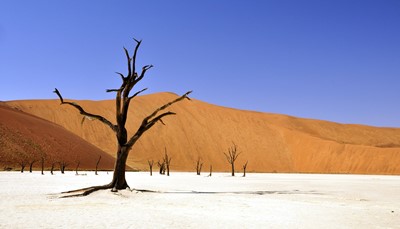 Namibië in een oogopslag