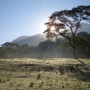 Tanzanie