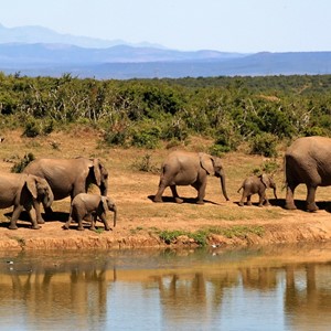 Afrique du Sud
