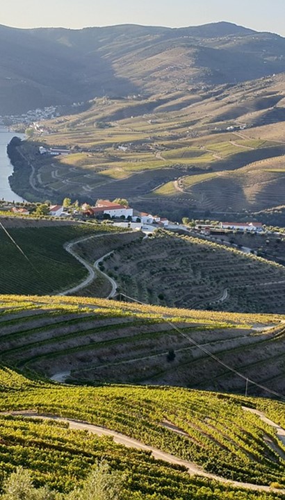 Begeleide groepsreis 'Douro, rivier van Goud'