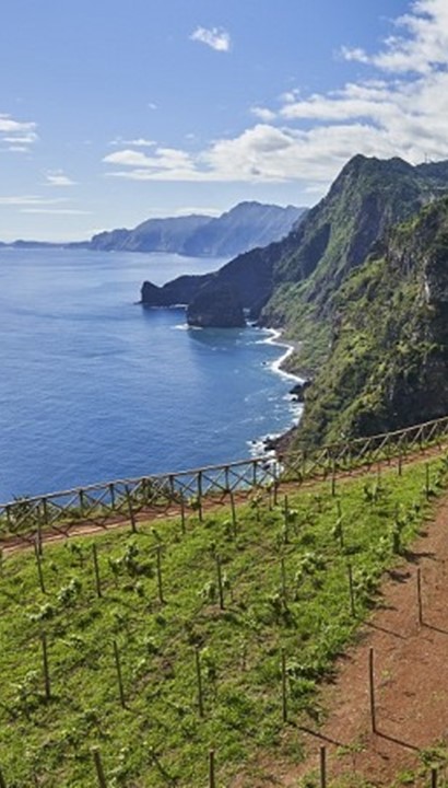 Madeira, fijnzinnigheid en natuurpracht