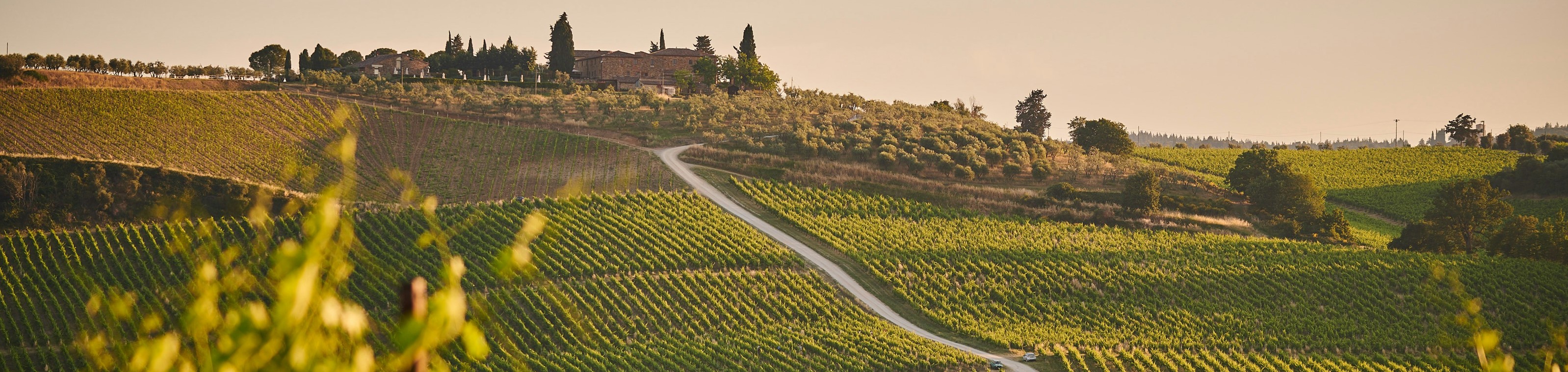 Cultuur en wijnreis naar Verona, Garda, Valpolicella, Soave & Bologna