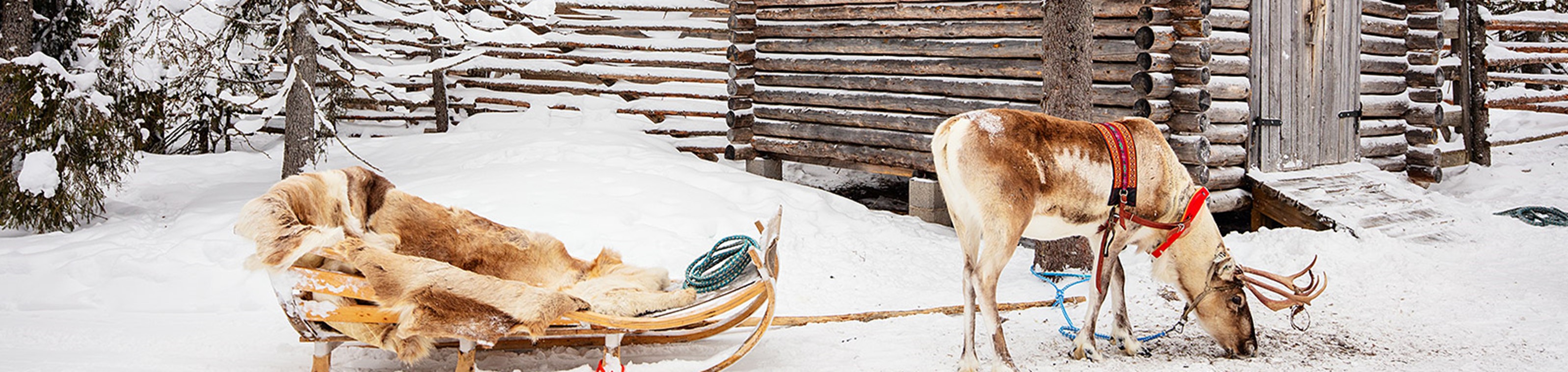 Begeleide reis Fins Lapland 12 maart 2026
