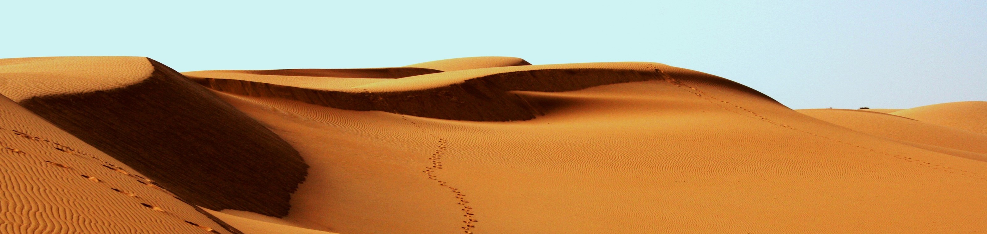 14-daagse Groepsreis Namibië met Nederlandstalige Begeleiding: Van de Kalahari tot Damaraland
