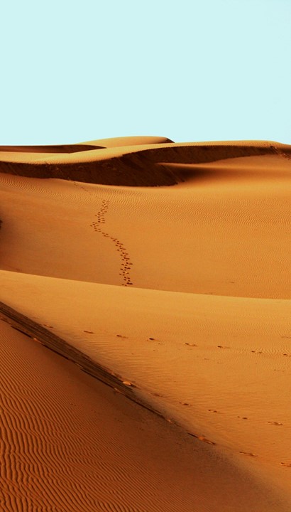 14-daagse Groepsreis Namibië met Nederlandstalige Begeleiding: Van de Kalahari tot Damaraland