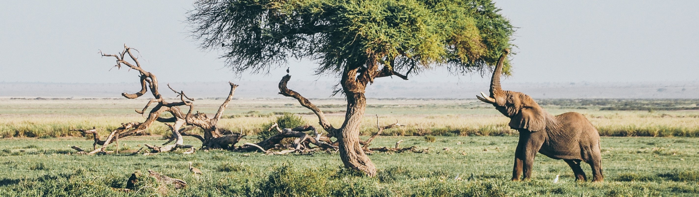 Reisevent - Zondag 22 sep - Afrika, droomstranden en Oceanië