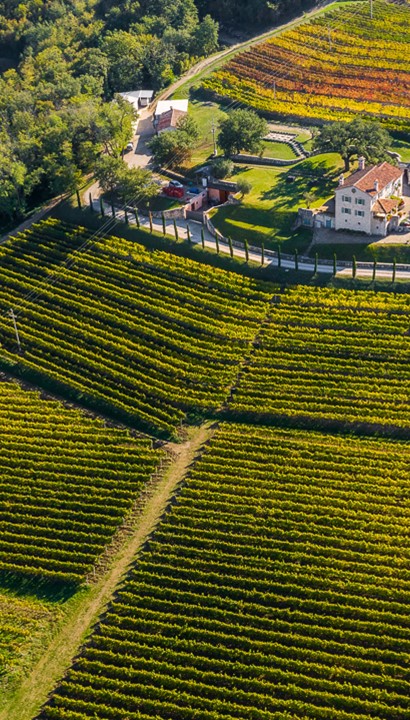 5-daagse exclusieve wijnreis naar Istrië (Kroatië)
