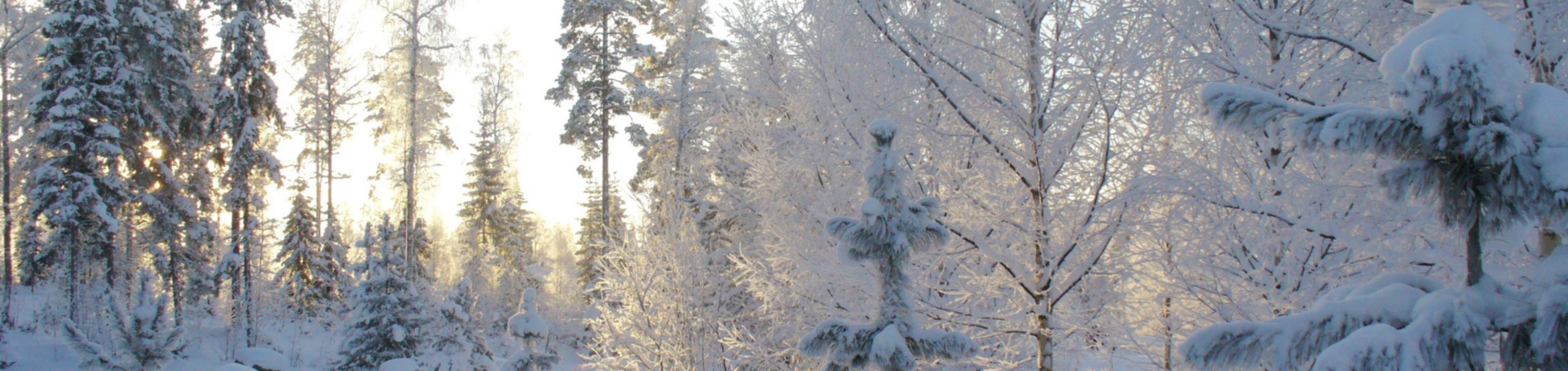 Het beste van Lapland, Noorderlicht & Snowvillage