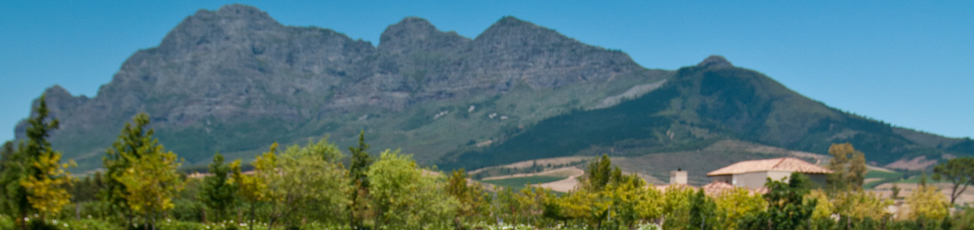 Wijnreis Zuid-Afrika met combinatie van de mooiste golf en/of safari belevingen