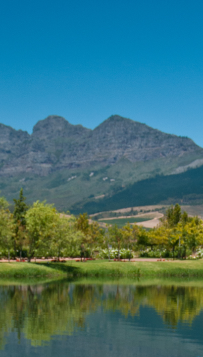 Wijnreis Zuid-Afrika met combinatie van de mooiste golf en/of safari belevingen