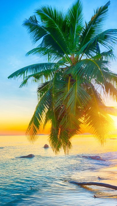11-daagse rondreis Seychellen: de Tuin van Eden