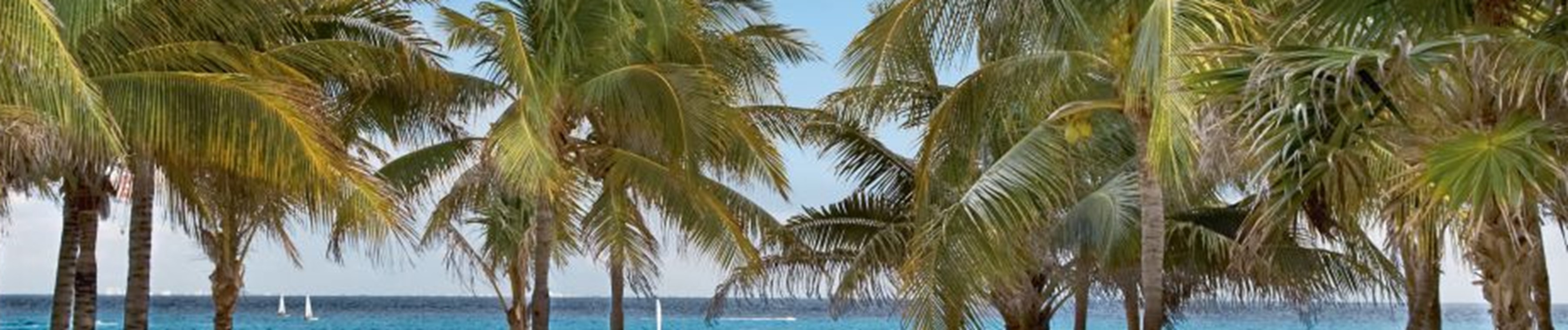 5* Riu Tequila club hotel in Playa del Carmen (Cancun)